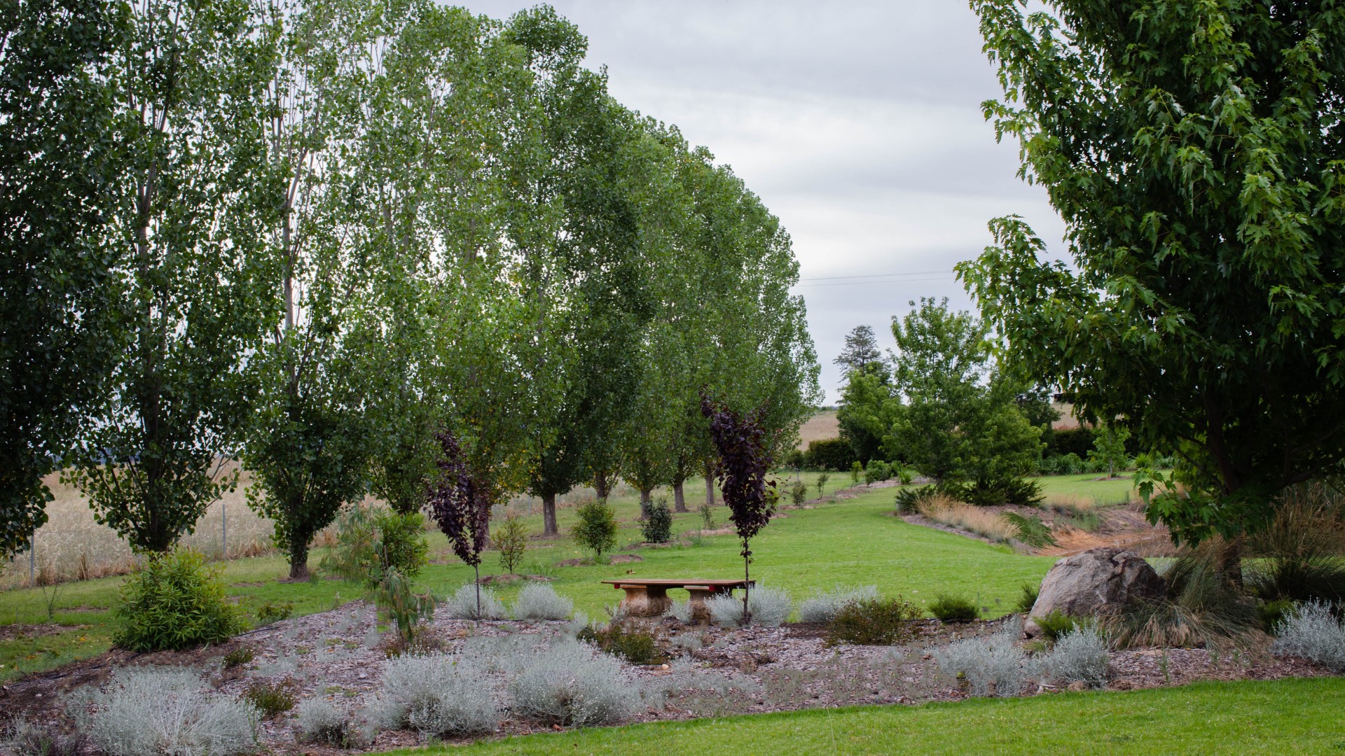 SLD Mudgee Landscaping